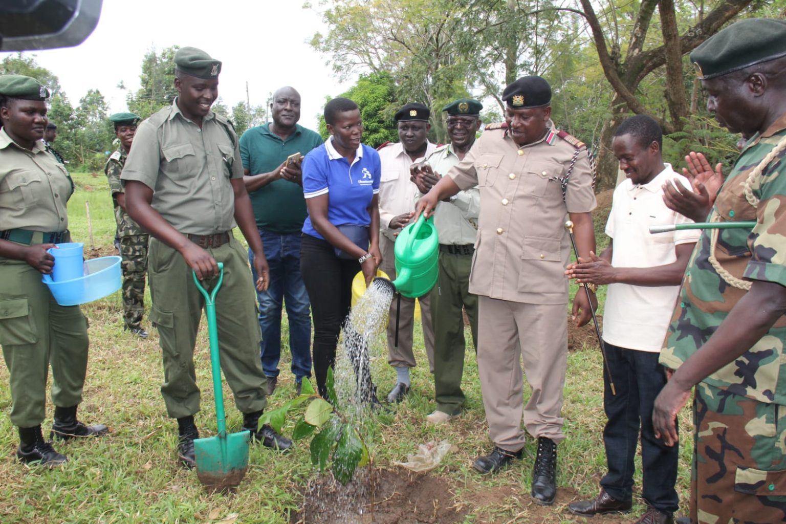 Busia low forest cover raises eyebrows despite experiencing enough ...